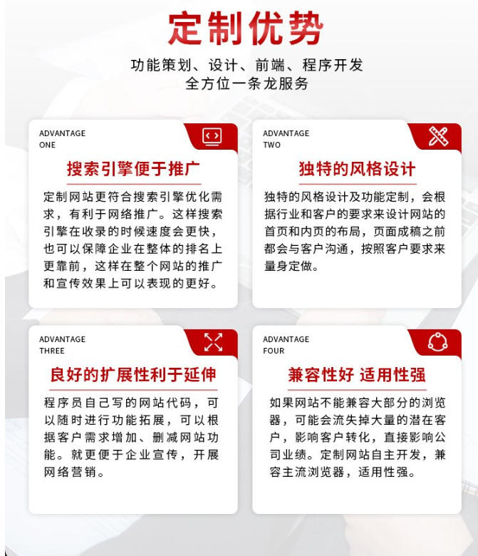 欧美网站建设 营销型定制网站开发 运营推广 国外网站制作