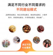 网页推广定制网站开发网站设计服务企业官网设计