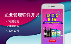 企业管理软件开发|CRM|ERP进销库管**务采购物料